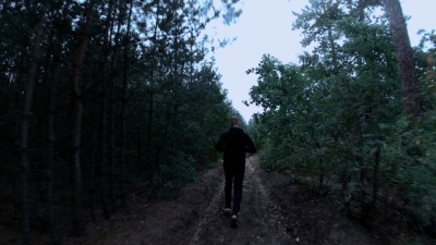 a man walks along the path at dusk in the direction away from the camera